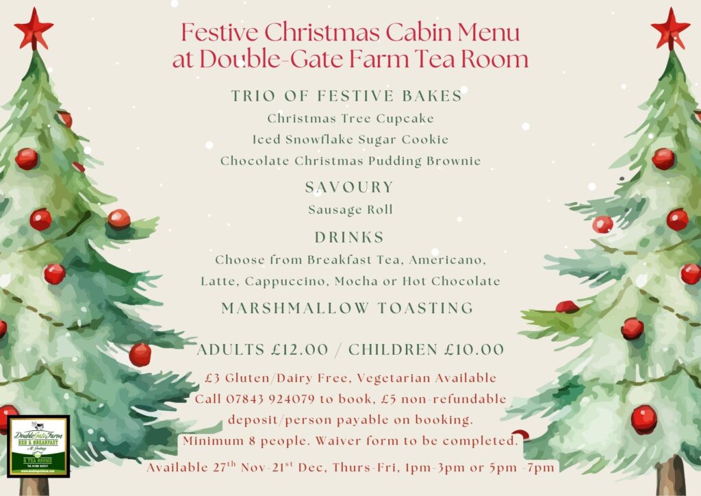 Christmas Festive Cabin 2025