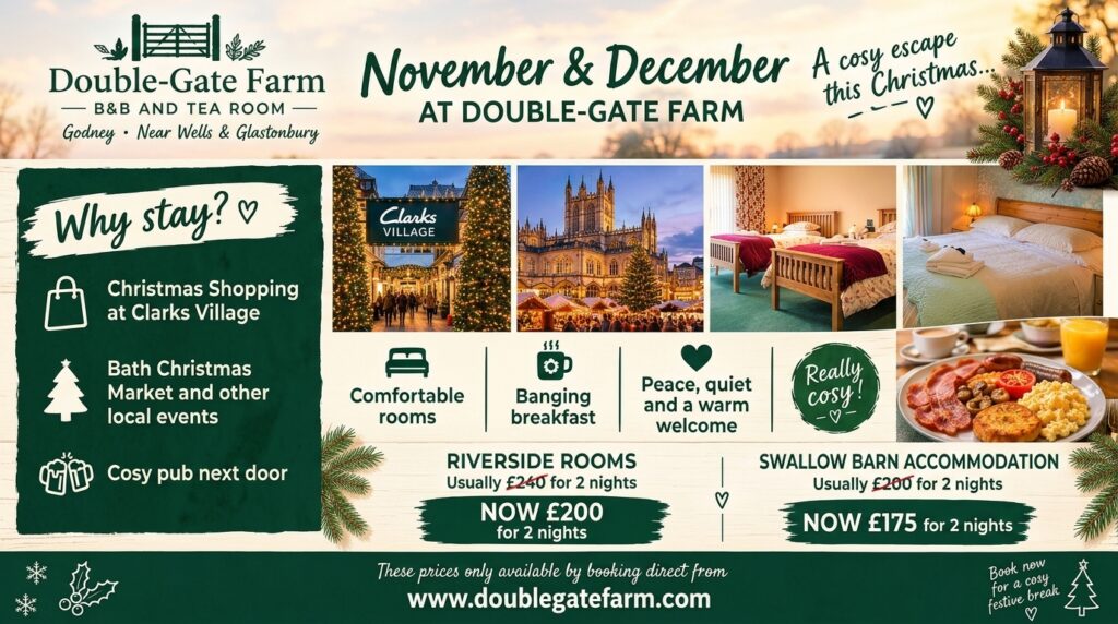 November & December Accommodation Offer