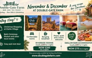 November & December Accommodation Offer