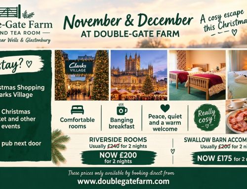 Christmas Shopping Breaks in Somerset | Double-Gate Farm