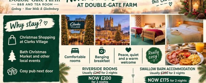 November & December Accommodation Offer